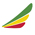 Ethiopian Airlines
